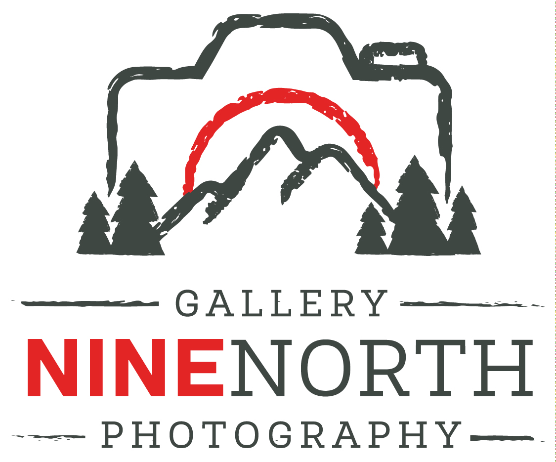 Gallery Nine North Gallery Nine North